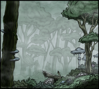 Cryptic Forest